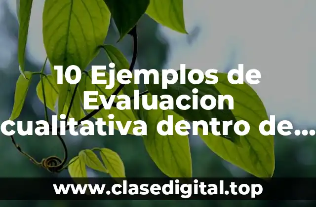 10 Ejemplos de Evaluacion cualitativa dentro de diseño curricular