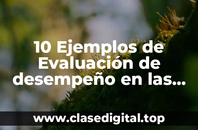 10 Ejemplos de Evaluación de desempeño en las empresas