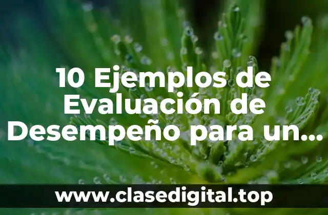 10 Ejemplos de Evaluación de Desempeño para un Gamer