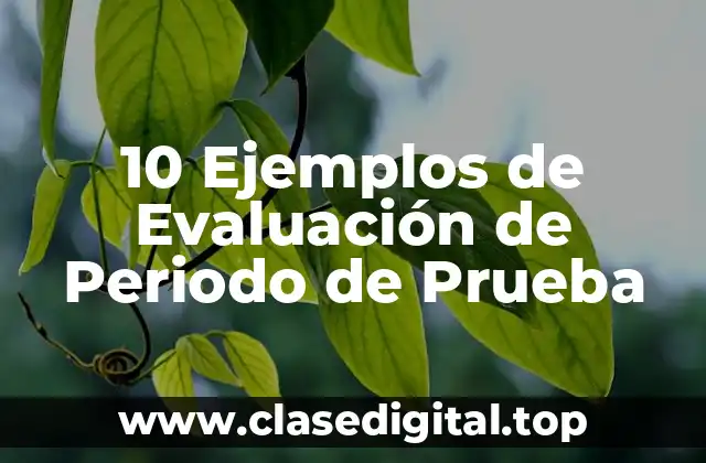 Ejemplos de Evaluación de Periodo de Prueba