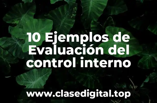 10 Ejemplos de Evaluación del control interno