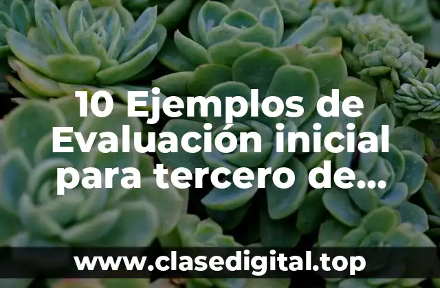 10 Ejemplos de Evaluación inicial para tercero de preescolar