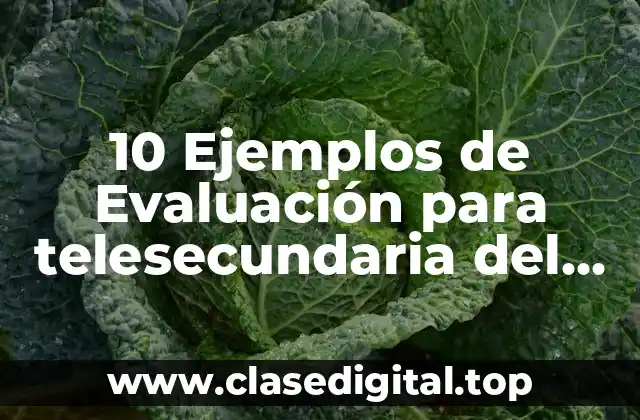 10 Ejemplos de Evaluación para telesecundaria del tema mesas redondas