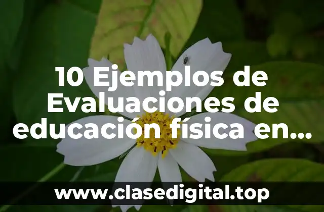 10 Ejemplos de Evaluaciones de educación física en primaria