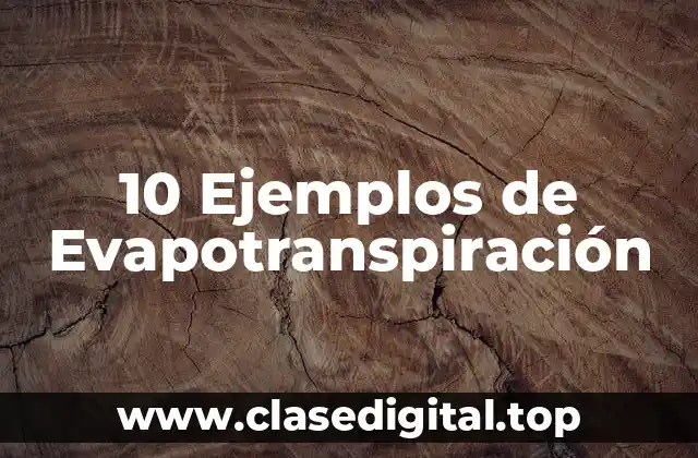 10 Ejemplos de Evapotranspiración