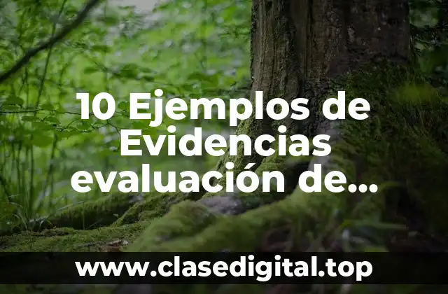 10 Ejemplos de Evidencias evaluación de desempeño docente