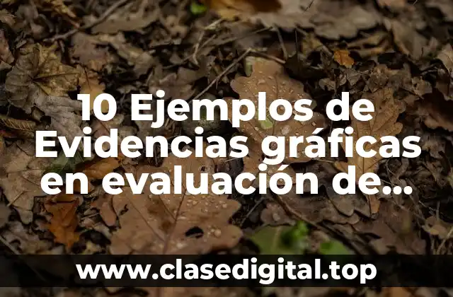 10 Ejemplos de Evidencias gráficas en evaluación de desempeño docente