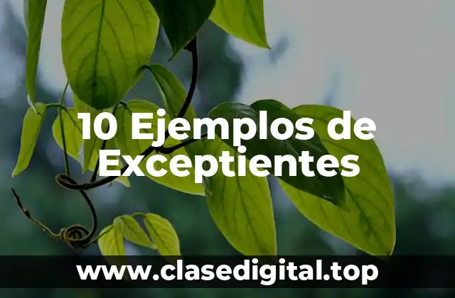 Ejemplos de Exceptientes