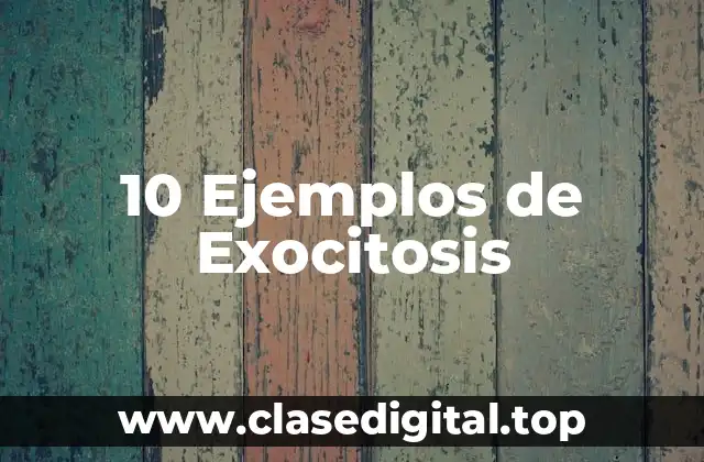 10 Ejemplos de Exocitosis