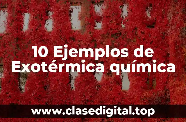 Ejemplos de exotérmica química