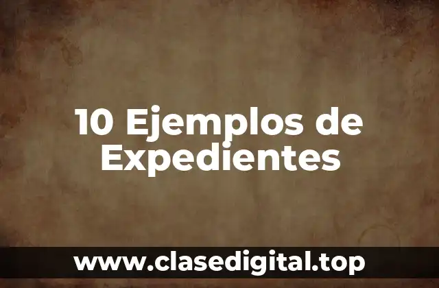10 Ejemplos de Expedientes