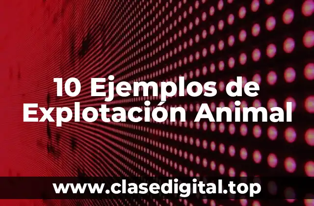 10 Ejemplos de Explotación Animal