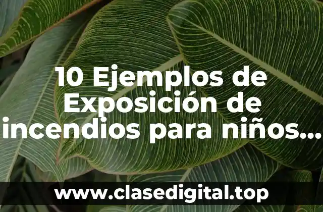 10 Ejemplos de Exposición de incendios para niños de primaria