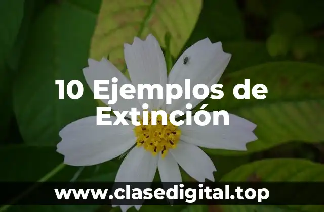 10 Ejemplos de Extinción