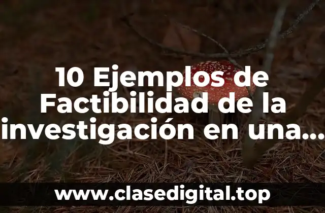 10 Ejemplos de Factibilidad de la investigación en una tesis
