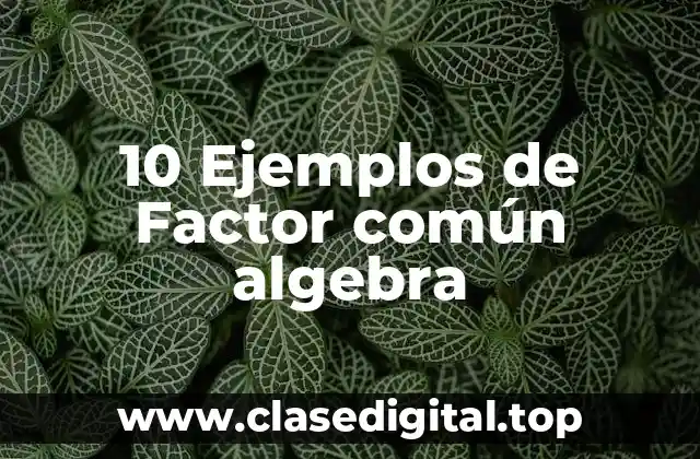 10 Ejemplos de Factor común algebra