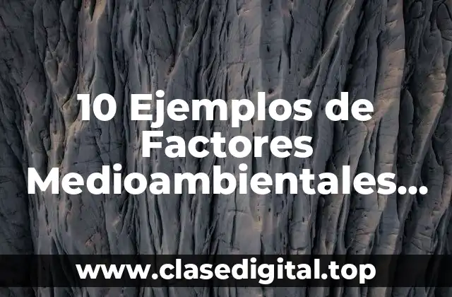 10 Ejemplos de Factores Medioambientales que Afecten la Empresa Turística