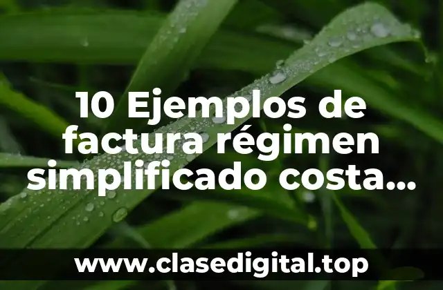 10 Ejemplos de factura régimen simplificado costa rica