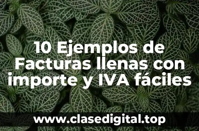 10 Ejemplos de Facturas llenas con importe y IVA fáciles
