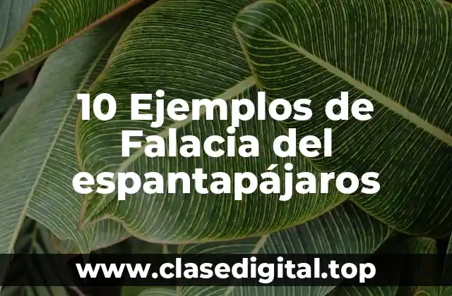 10 Ejemplos de Falacia del espantapájaros