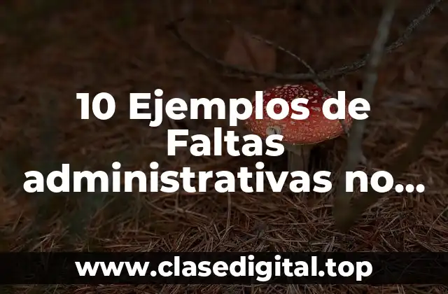 10 Ejemplos de Faltas administrativas no graves