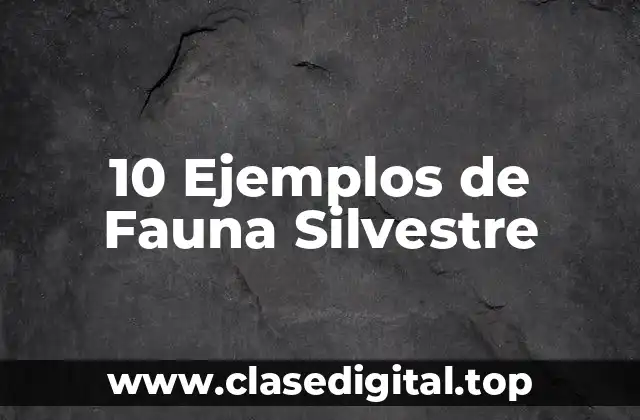 10 Ejemplos de Fauna Silvestre