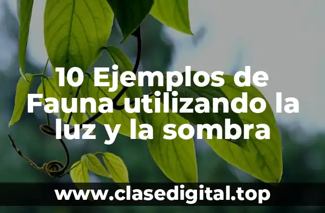 10 Ejemplos de Fauna utilizando la luz y la sombra