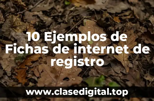 10 Ejemplos de Fichas de internet de registro