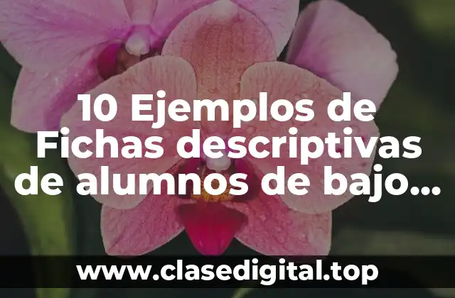 10 Ejemplos de Fichas descriptivas de alumnos de bajo rendimiento