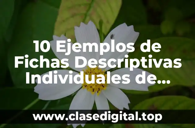 Ejemplos de Fichas Descriptivas Individuales de Alumnos de Primaria