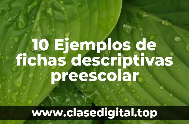 10 Ejemplos de fichas descriptivas preescolar