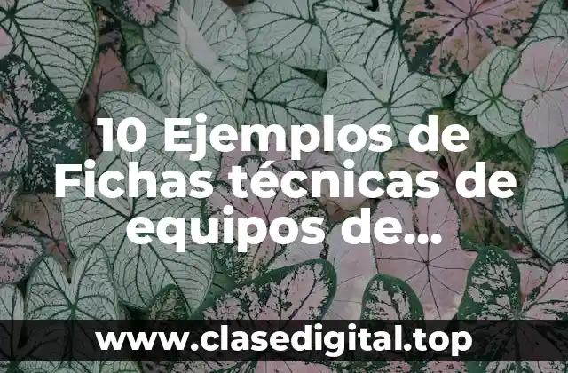 10 Ejemplos de Fichas técnicas de equipos de beneficios secos