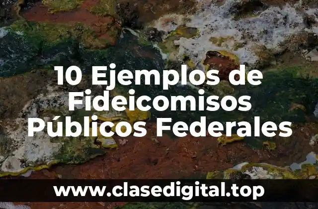 10 Ejemplos de Fideicomisos Públicos Federales