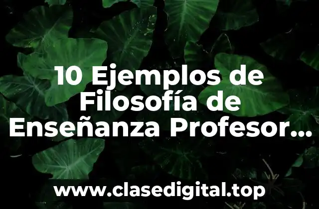10 Ejemplos de Filosofía de Enseñanza Profesor Inglé