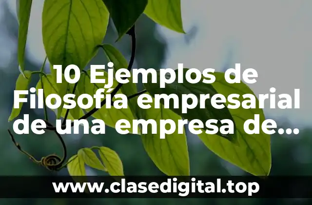 10 Ejemplos de Filosofía empresarial de una empresa de transporte