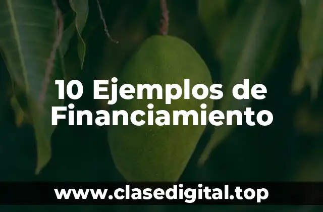 10 Ejemplos de Financiamiento