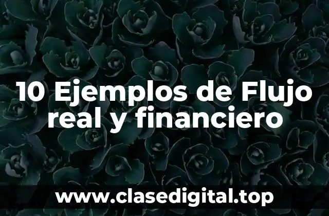 10 Ejemplos de Flujo real y financiero