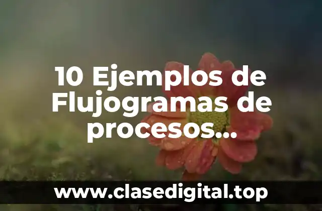 10 Ejemplos de Flujogramas de procesos productivos