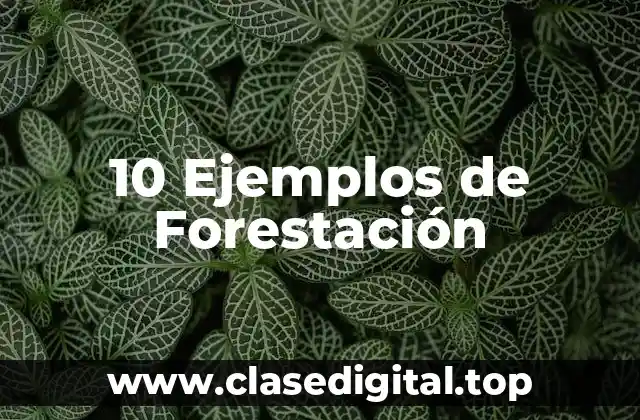 10 Ejemplos de Forestación
