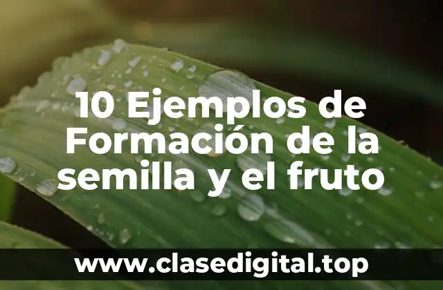 10 Ejemplos de Formación de la semilla y el fruto