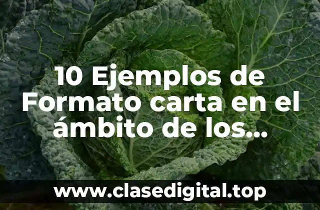 10 Ejemplos de Formato carta en el ámbito de los sistemas