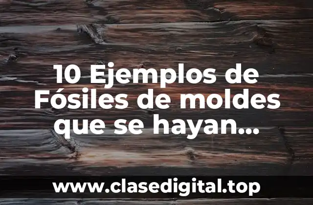 10 Ejemplos de Fósiles de moldes que se hayan descubierto