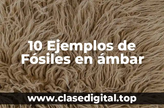 10 Ejemplos de Fósiles en ámbar