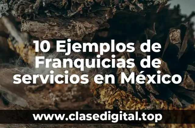 10 Ejemplos de Franquicias de servicios en México