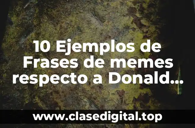 10 Ejemplos de Frases de memes respecto a Donald Trump