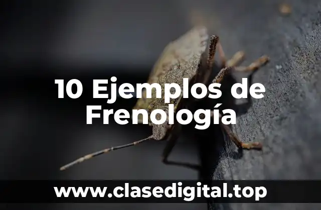 10 Ejemplos de Frenología