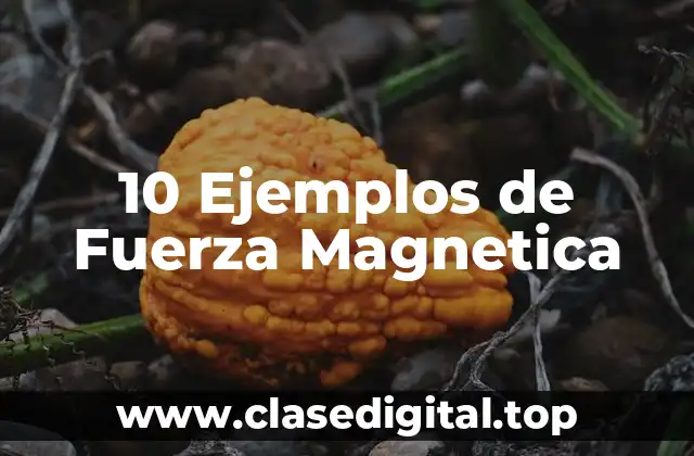 10 Ejemplos de Fuerza Magnetica