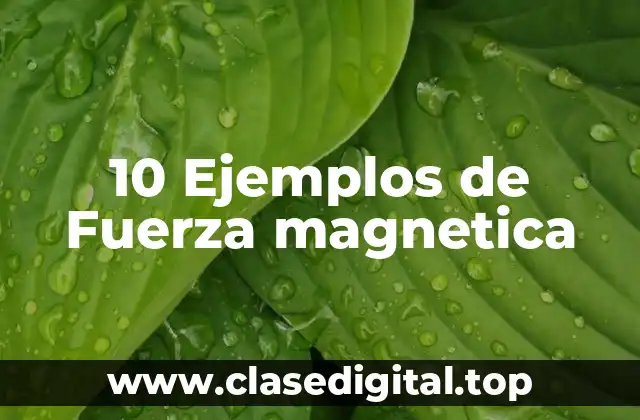 Ejemplos de fuerza magnetica