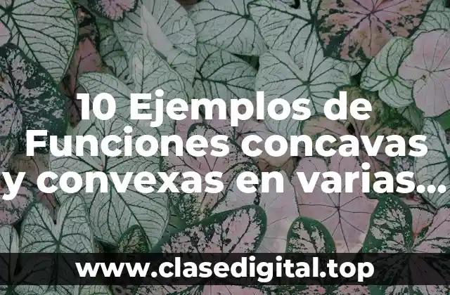 10 Ejemplos de Funciones concavas y convexas en varias variables