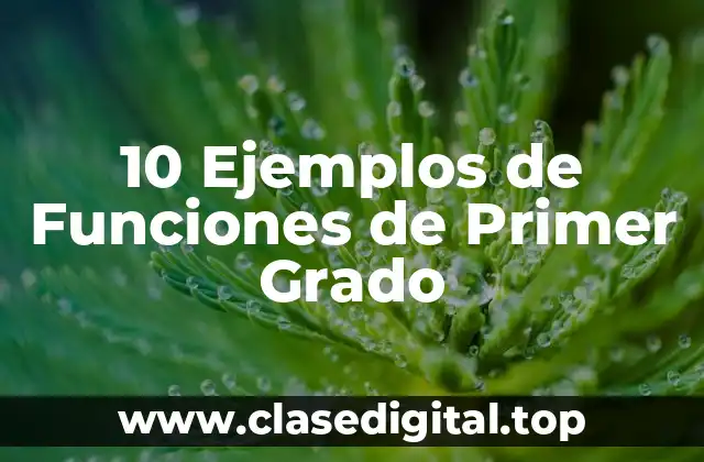 10 Ejemplos de Funciones de Primer Grado